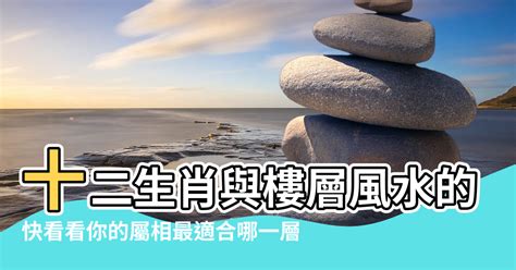 屬鼠樓層|【屬鼠住房風水】屬鼠最佳住房樓層和風水方位 